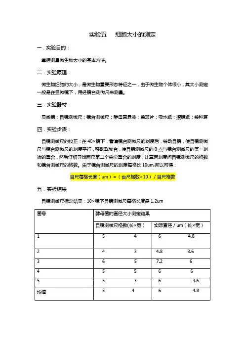 细胞大小的测定