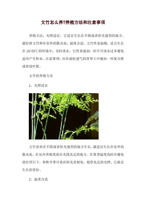 文竹怎么养-养殖方法和注意事项