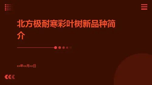 北方极耐寒彩叶树新品种简介