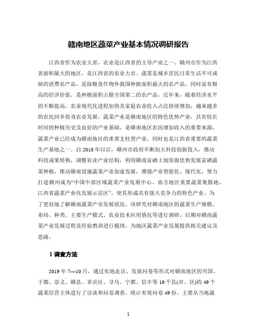 赣南地区蔬菜产业基本情况调研报告