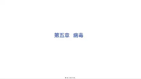 新人教版八年级上册初中生物 第五章 病毒 重点习题课件