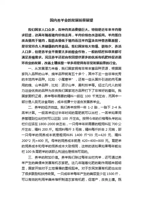 国内养羊业的发展前景展望