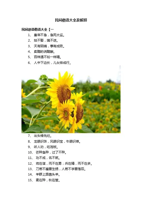民间俗语大全及解释