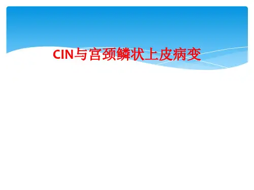 CIN与宫颈鳞状上皮病变