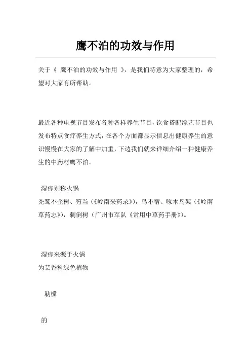 鹰不泊的功效与作用