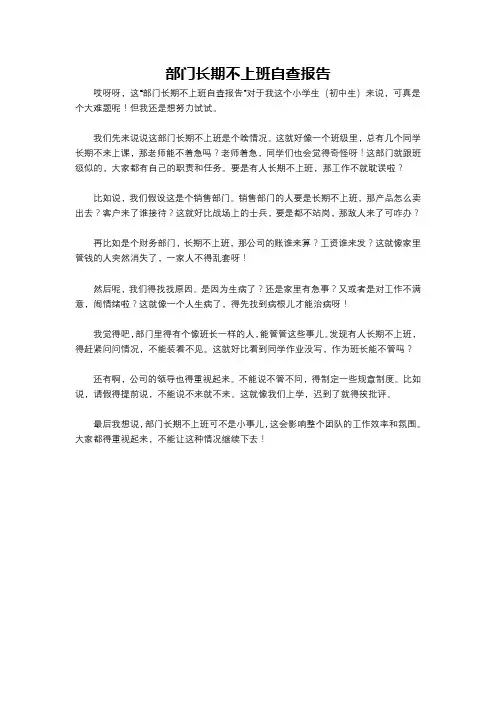 部门长期不上班自查报告