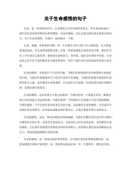 关于生命感悟的句子