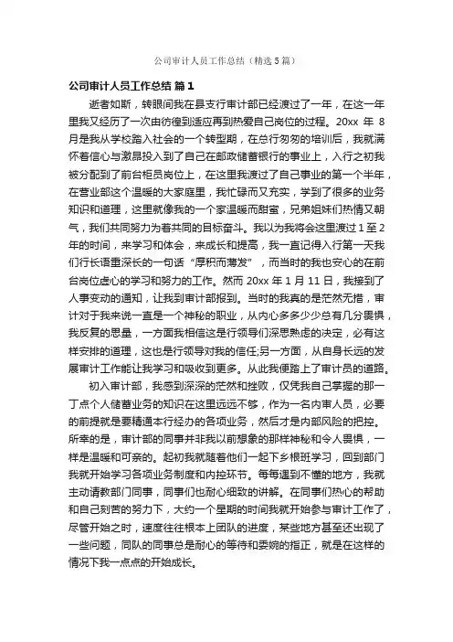 公司审计人员工作总结（精选5篇）