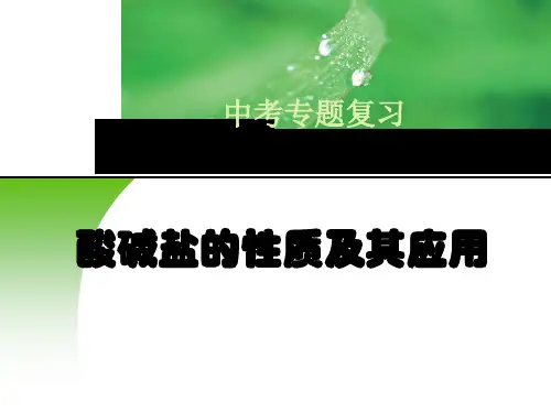 初三化学《酸碱盐复习》公开课课件