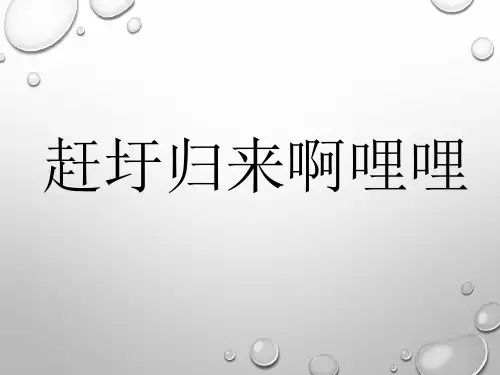 《赶圩归来啊哩哩》PPT课件