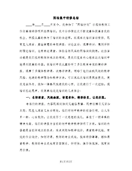 国培集中研修总结（2篇）