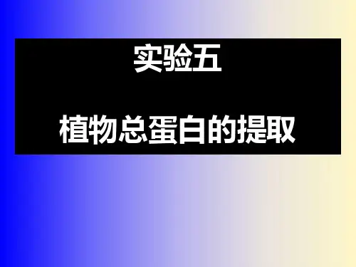 10实验转基因食品