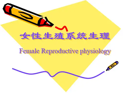 女性生殖系统生理二