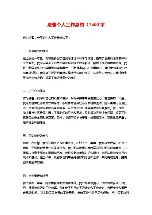 法警个人工作总结(
