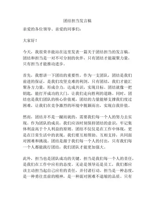 团结担当发言稿