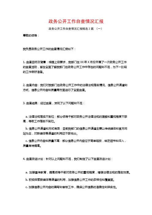 政务公开工作自查情况汇报2篇