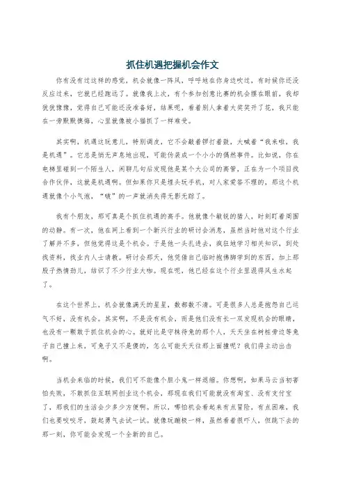 抓住机遇把握机会作文