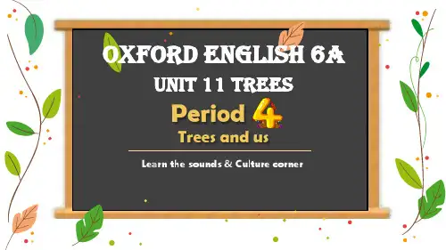 小学六年级英语牛津版Unit 11 Trees