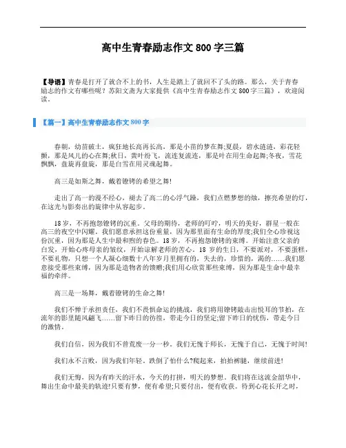 高中生青春励志作文800字三篇