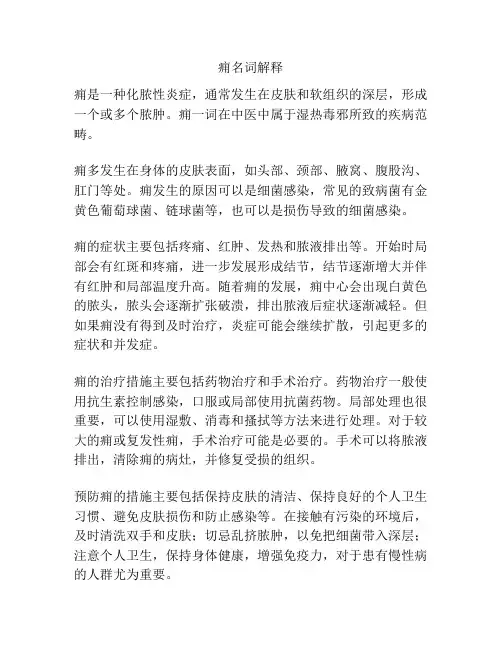 痈名词解释