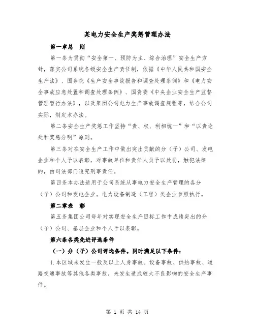 某电力安全生产奖惩管理办法(三篇)