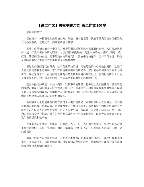 【高二作文】黑夜中的光芒 高二作文800字