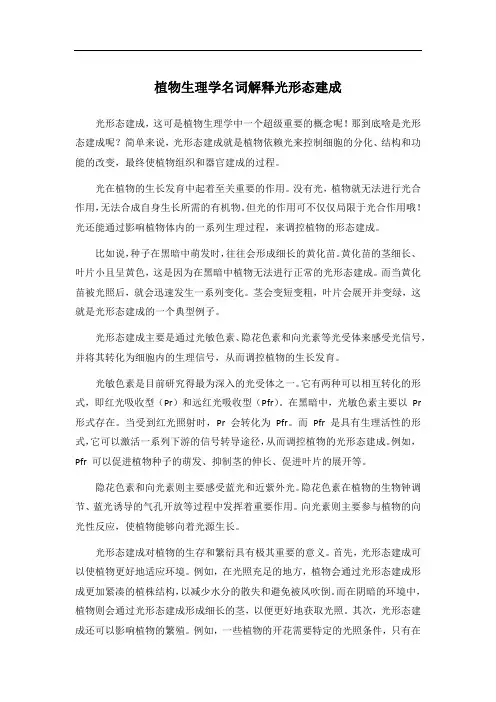 植物生理学名词解释光形态建成