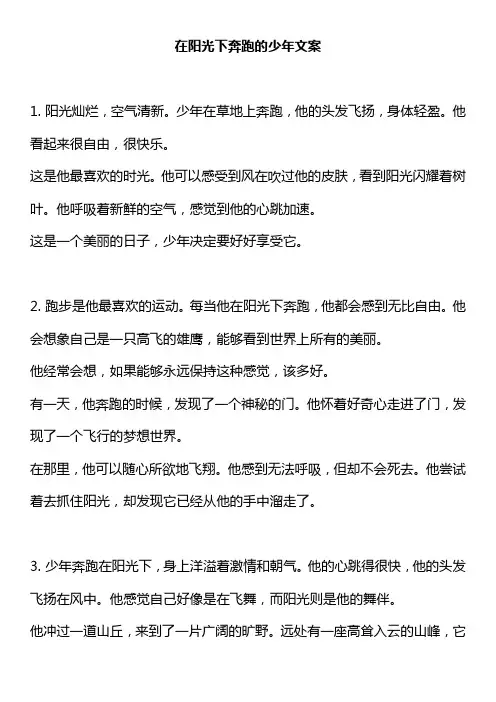 在阳光下奔跑的少年文案