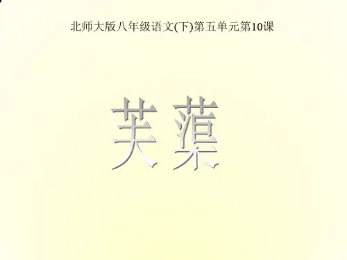 语文八下第10课《芙蕖》课件(2)