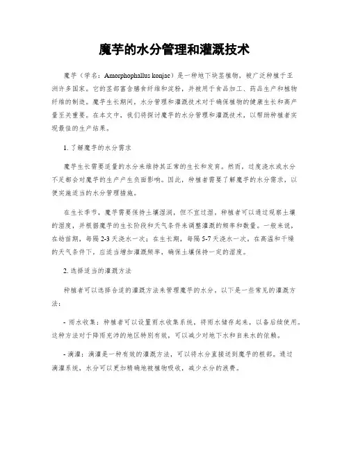 魔芋的水分管理和灌溉技术