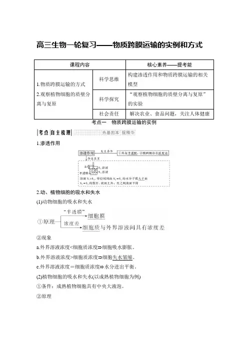高三生物一轮复习——物质跨膜运输的实例和方式