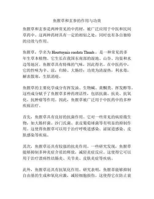鱼腥草和玄参的作用与功效