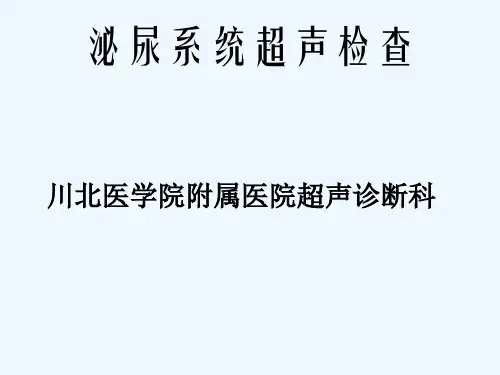泌尿系统超声检查