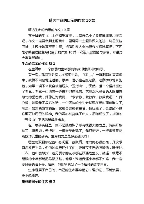 精选生命的启示的作文10篇
