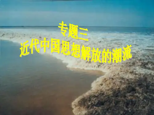 顺乎世界之潮流(绝对经典)PPT教学课件