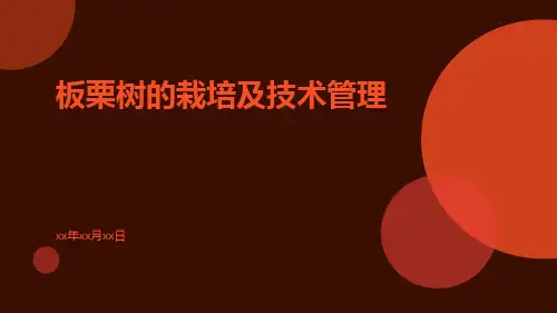 板栗树的栽培及技术管