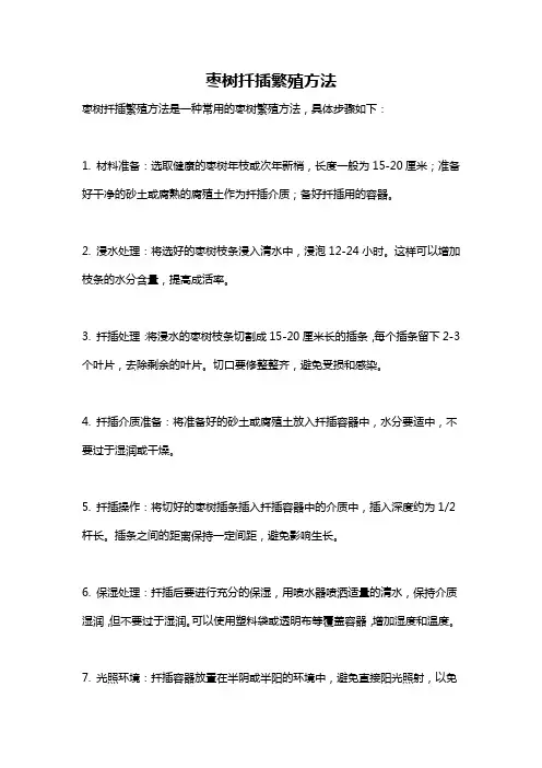 枣树扦插繁殖方法