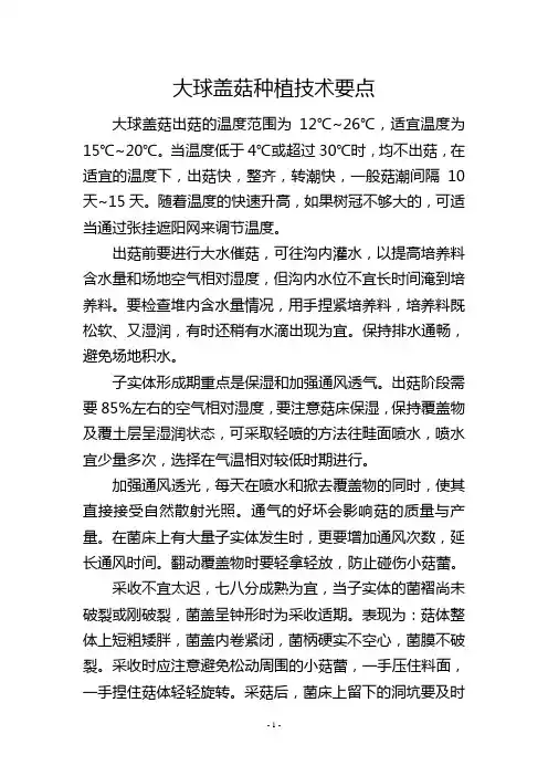 大球盖菇种植技术要点