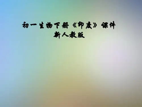 初一生物下册《印度》课件新人教版