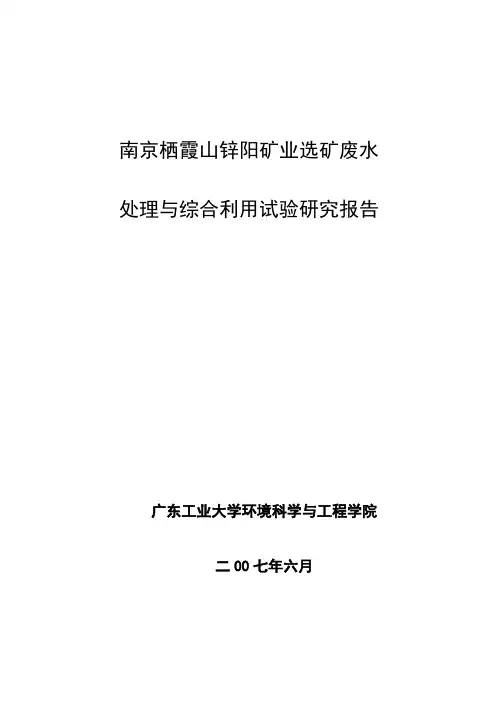 南京栖霞山锌阳矿业有限公司选矿废水处理与综合利用试验研究报告