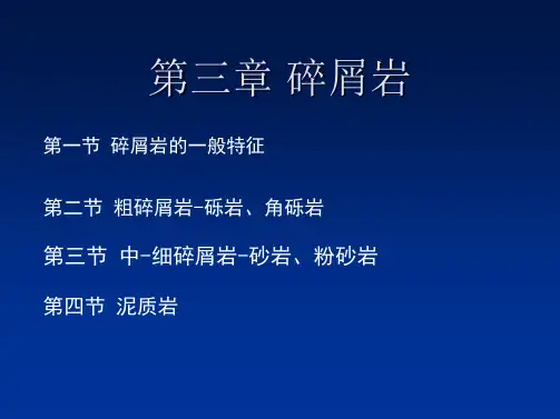 第三章碎屑岩
