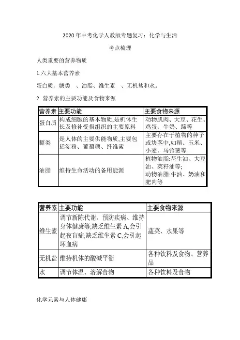 2020年中考化学人教版专题复习：化学与生活