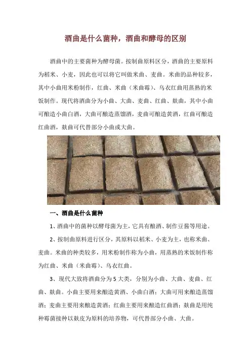 酒曲是什么菌种,酒曲和酵母的区别
