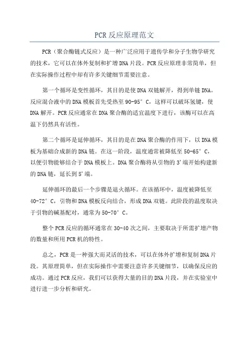PCR反应原理范文