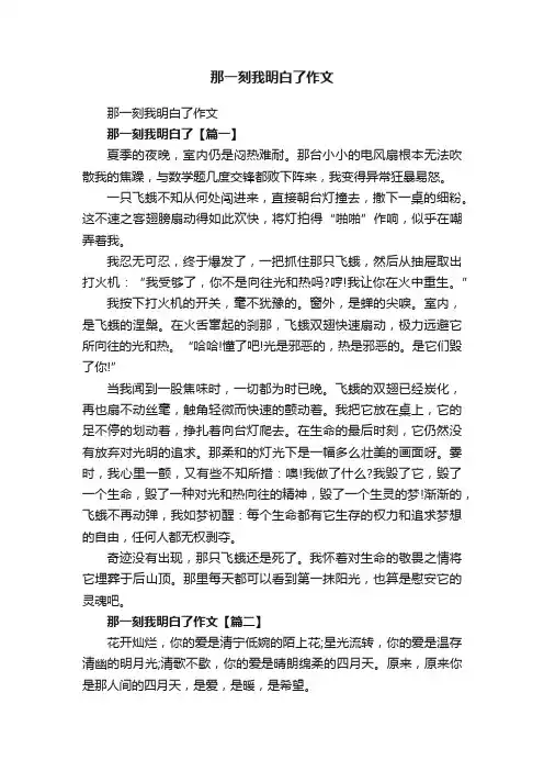 那一刻我明白了作文