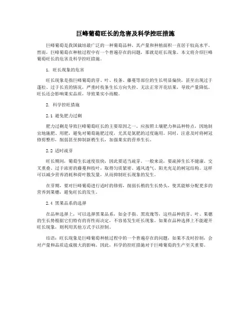 巨峰葡萄旺长的危害及科学控旺措施