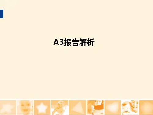 A3报告解析ppt课件
