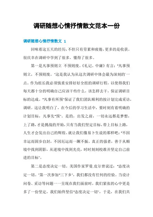 调研随想心情抒情散文范本一份