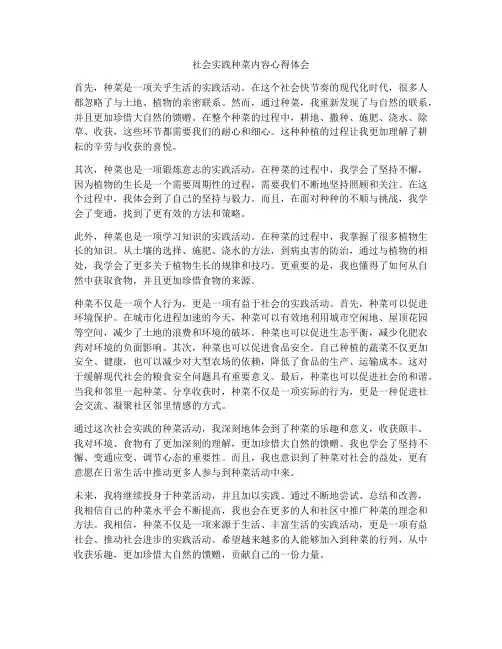 社会实践种菜内容心得体会
