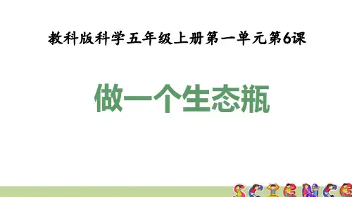 教科版五年级科学上册1.6做一个生态瓶(教学课件)